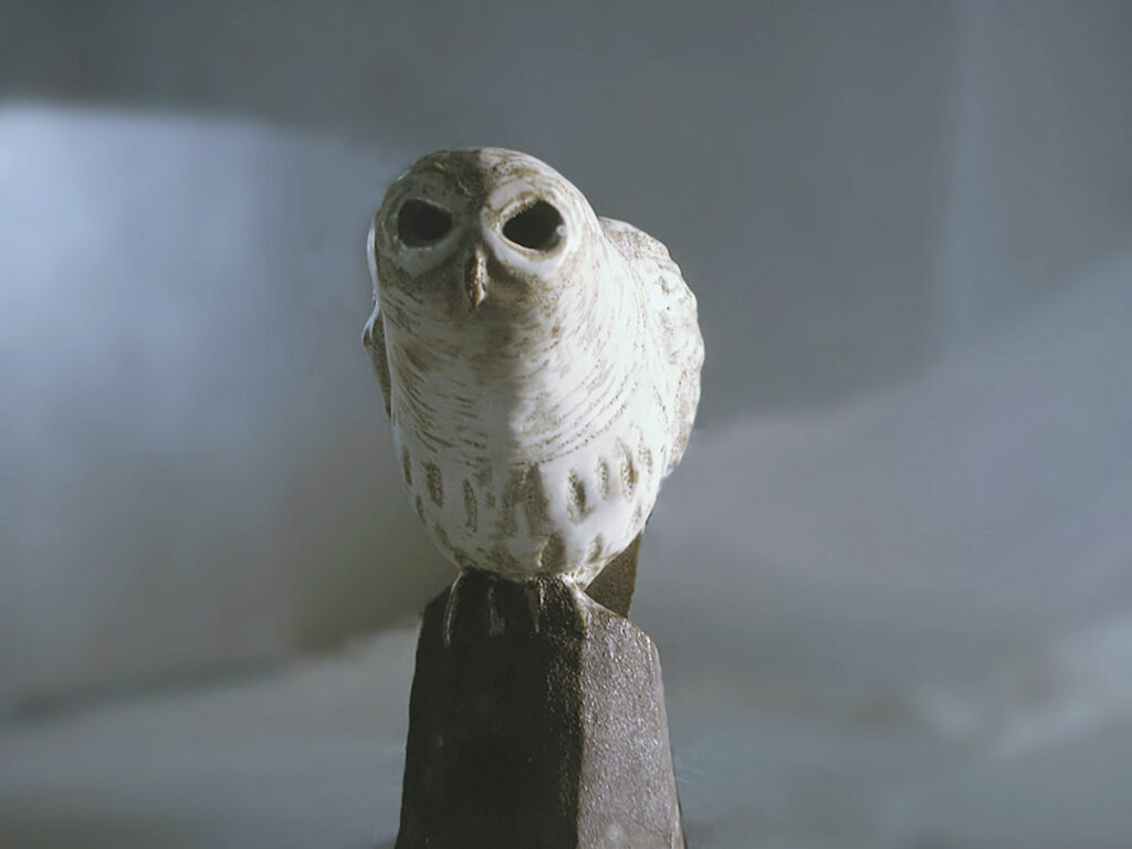 Bared Owl on a Pedestal