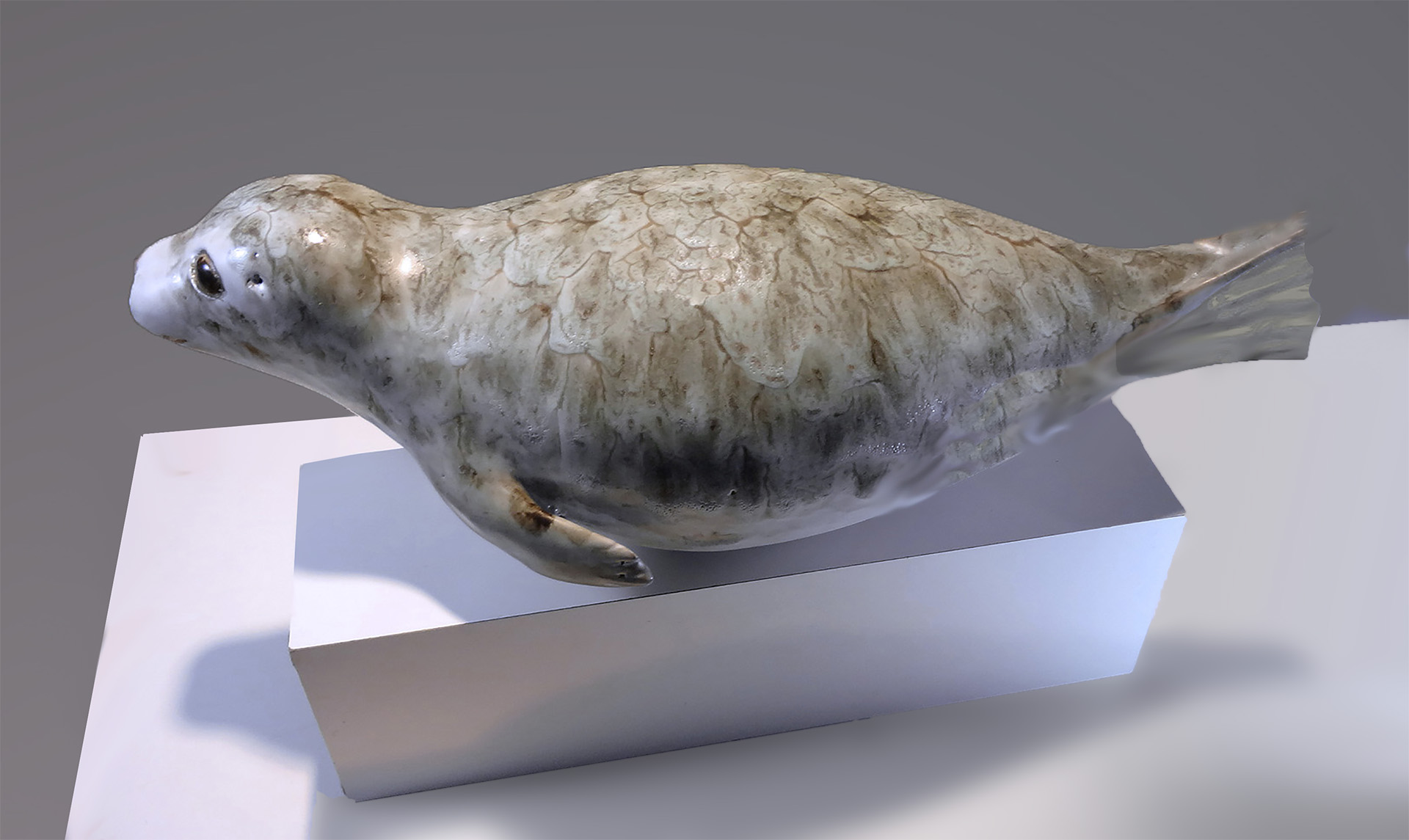 Large Seal