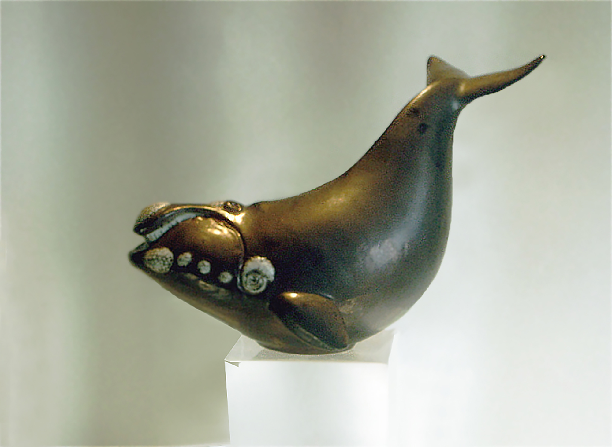 Right Whale Bronze