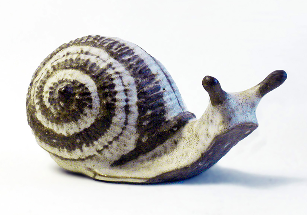 Natural Brown Snail in Spiral Pattern