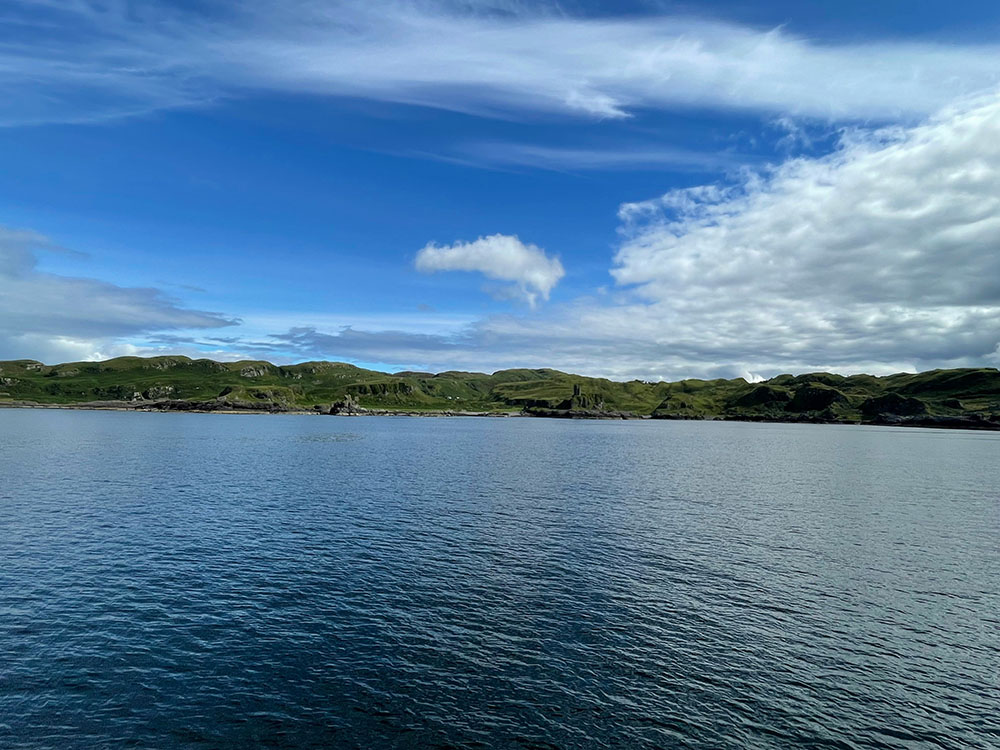 Peeling Back the Wrapper on the Narrative